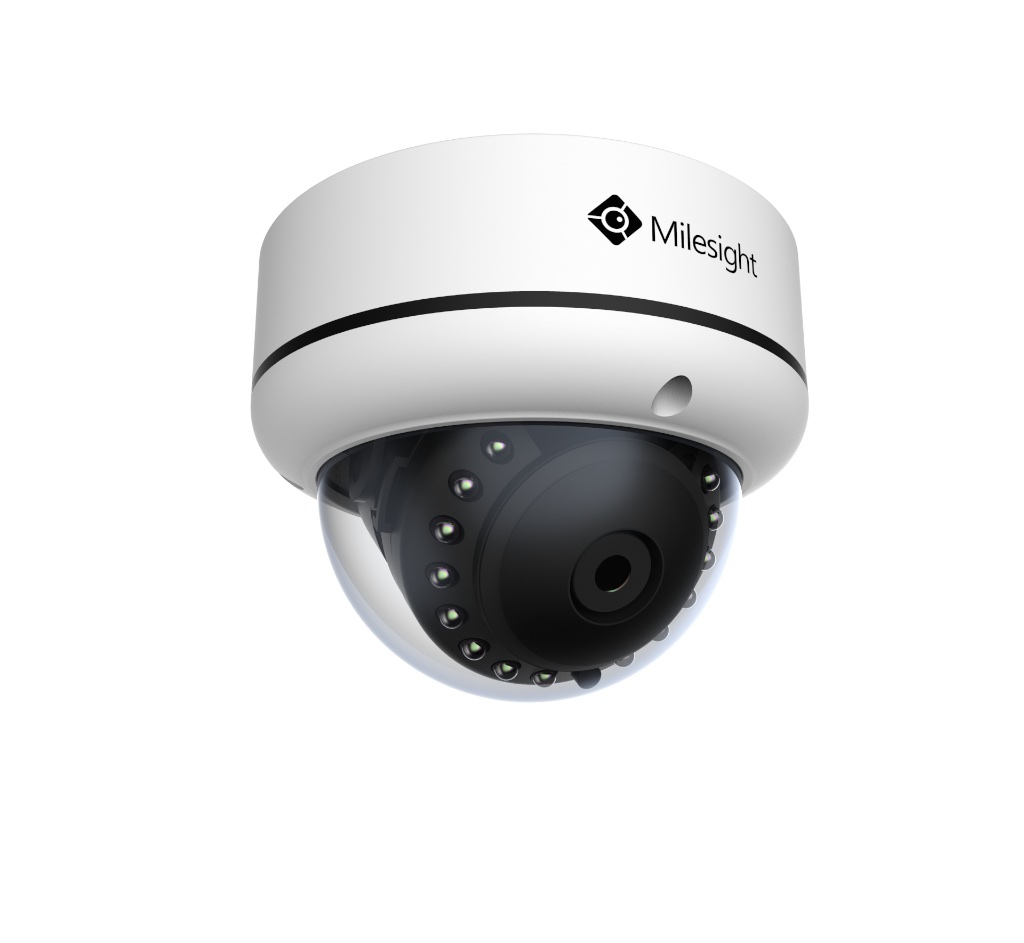 Milesight MS-C2173
